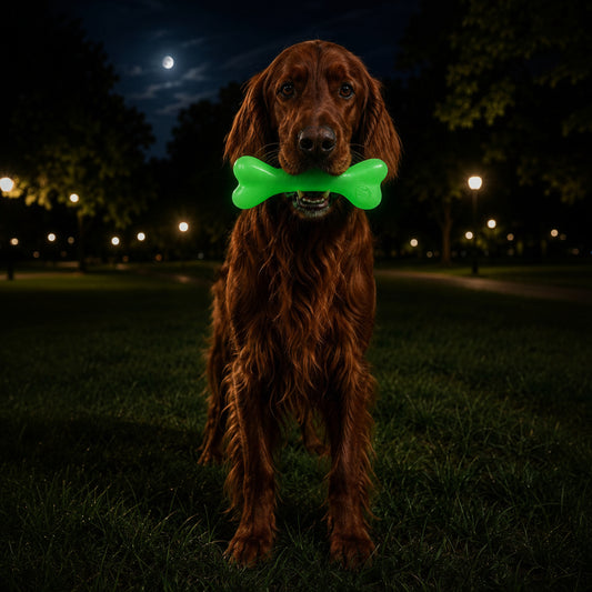 glow in the dark dog chew bone