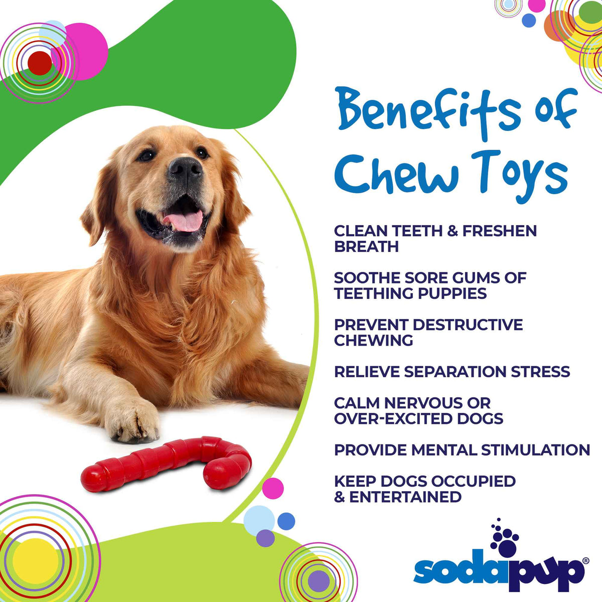 Are Nylon Toys Safe for Dogs: Essential Safety Tips Revealed