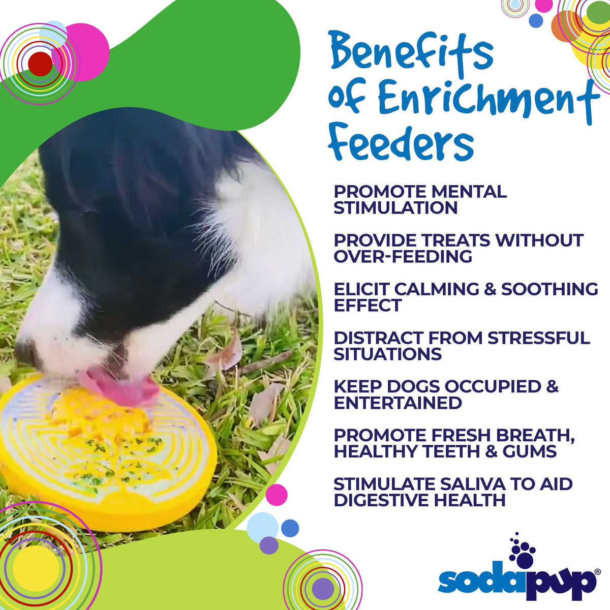 4_-_Benefits_-_SodaPup_-