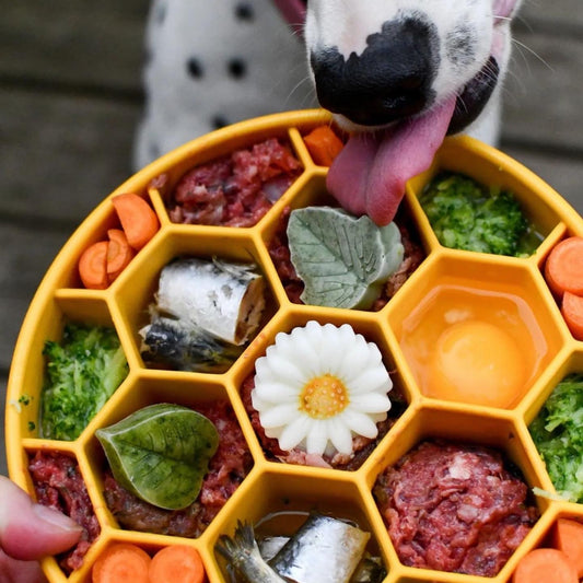 Honeycomb Slow Feeder Dog Bowl - Cosmetic B Grade - No packaging - No returns
