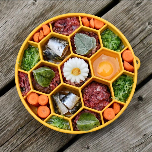 Honeycomb eBowl Deep Slow Feeder Dog Bowl for Enrichment | USA Made