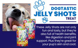 Dogtastic Jelly Shots Silicone Mold - Bone Shape