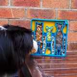 Waiting Dogs Design eTray Enrichment Tray for Dogs - SodaPup/True Dogs, LLC