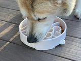 Java Design eBowl Enrichment Slow Feeder Bowl for Dogs
