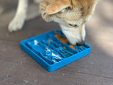 Waiting Dogs Design eTray Enrichment Tray for Dogs - SodaPup/True Dogs, LLC