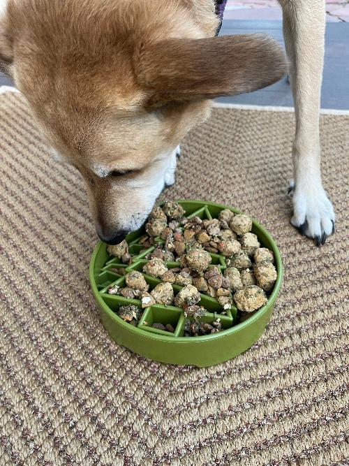 SodaPup Pine Tree Christmas eBowl Deep Slow Feeder Dog Bowl Enrichment | USA Made