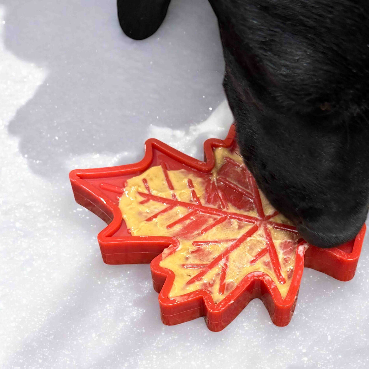 SodaPup Canadian Maple Leaf Nylon Dog Chew Toy Indestructible & USA Made