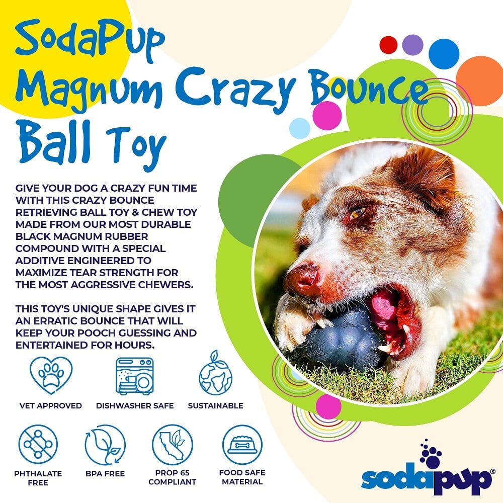 http://sodapup.com/cdn/shop/products/3-ProductSynopsis-SodaPup-Ball-SodaPup-CrazyBounce-Black_1_1200x1200.jpg?v=1660504296