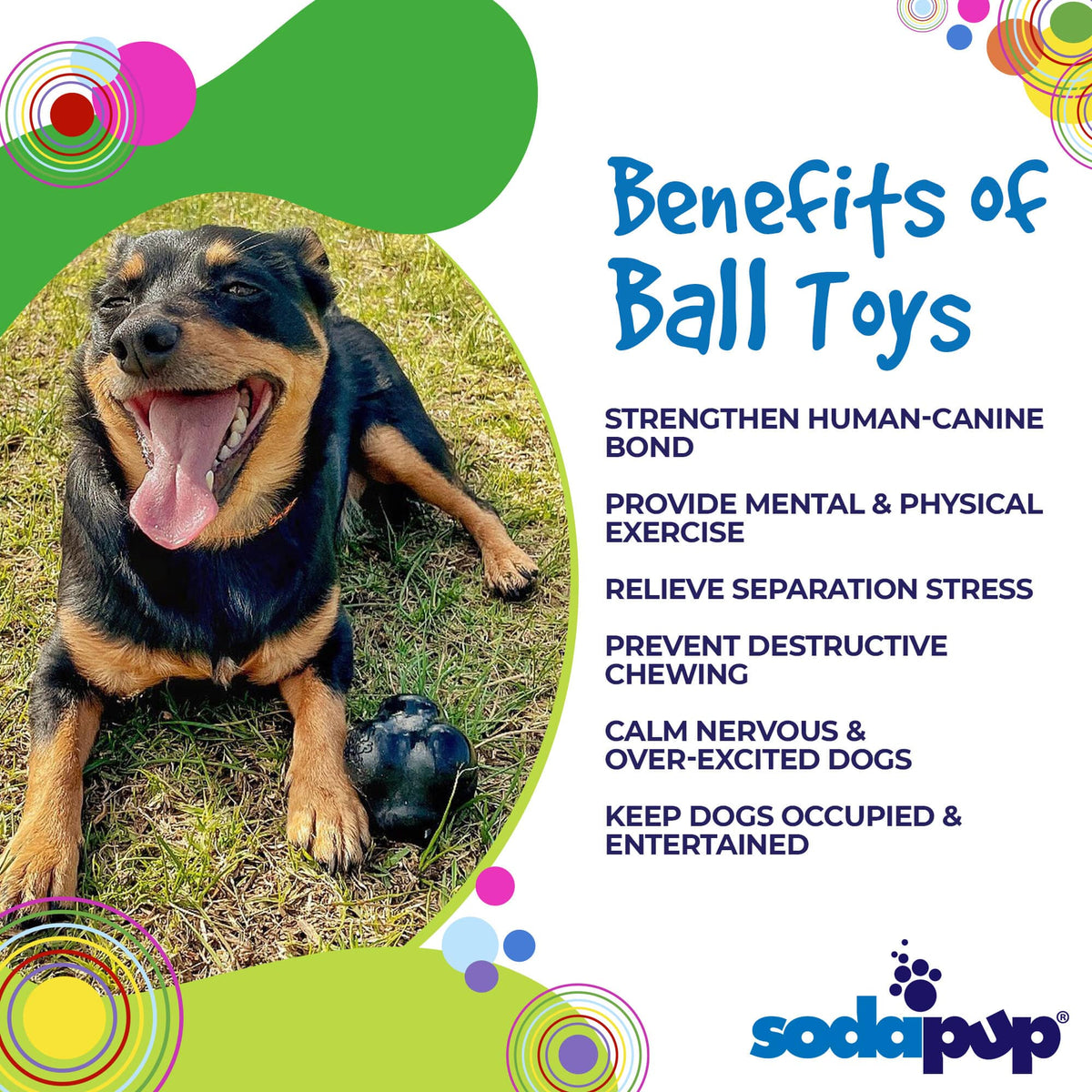 Interactive Dog Balls, Dog Toys for Boredom and Stimulating, Dog Toys for  Aggressive Chewers, Safer for Dog's Mouths