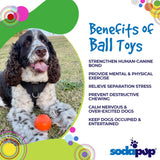 NEW! SP Smile Ball Ultra Durable Synthetic Rubber Chew Toy & Floating Retrieving Toy - Medium - Orange - SodaPup/True Dogs, LLC