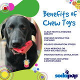 SP Cherry Pie Ultra Durable Nylon Dog Chew Toy and Treat Holder for Aggressive Chewers - Red - SodaPup/True Dogs, LLC
