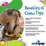 SP Corn on the Cob Ultra Durable Nylon Dog Chew Toy for Aggressive Chewers - Yellow - SodaPup/True Dogs, LLC