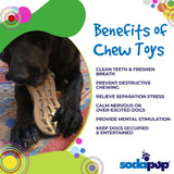 SP Peanut Ultra Durable Nylon Dog Chew Toy for Aggressive Chewers - Brown - SodaPup/True Dogs, LLC