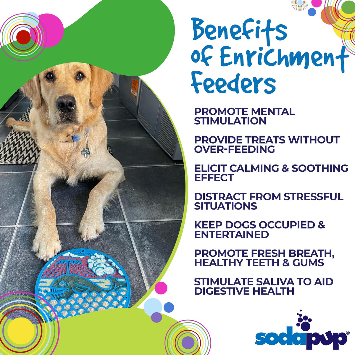 http://sodapup.com/cdn/shop/products/4-Benefits-SodaPup-EnrichmentFeeder-SodaPup-eMatWhale_1200x1200.jpg?v=1660594128