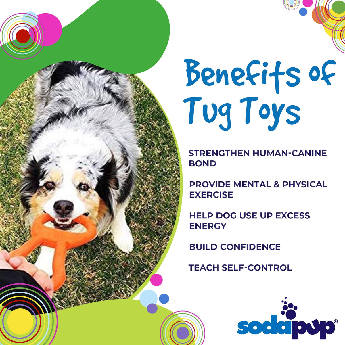 SodaPup Can Opener Tug Dog Toy, Orange