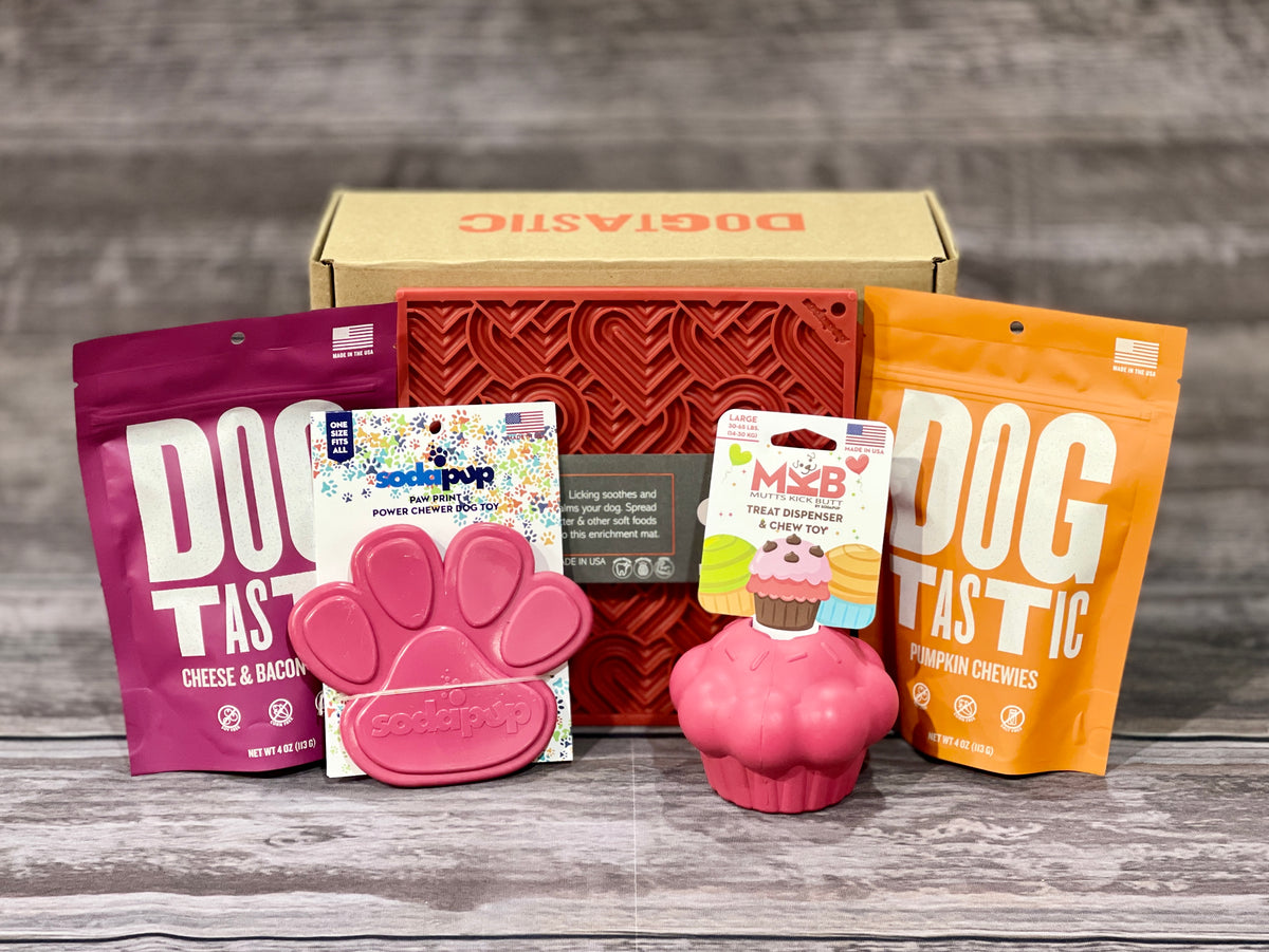 Large Dog Enrichment Pack | Pupford