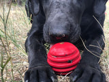 USA-K9 Stars and Stripes Ultra-Durable Rubber Chew Ball - Red - SodaPup/True Dogs, LLC