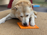 NEW! Zombie Design Emat Enrichment Lick Mat - SodaPup/True Dogs, LLC