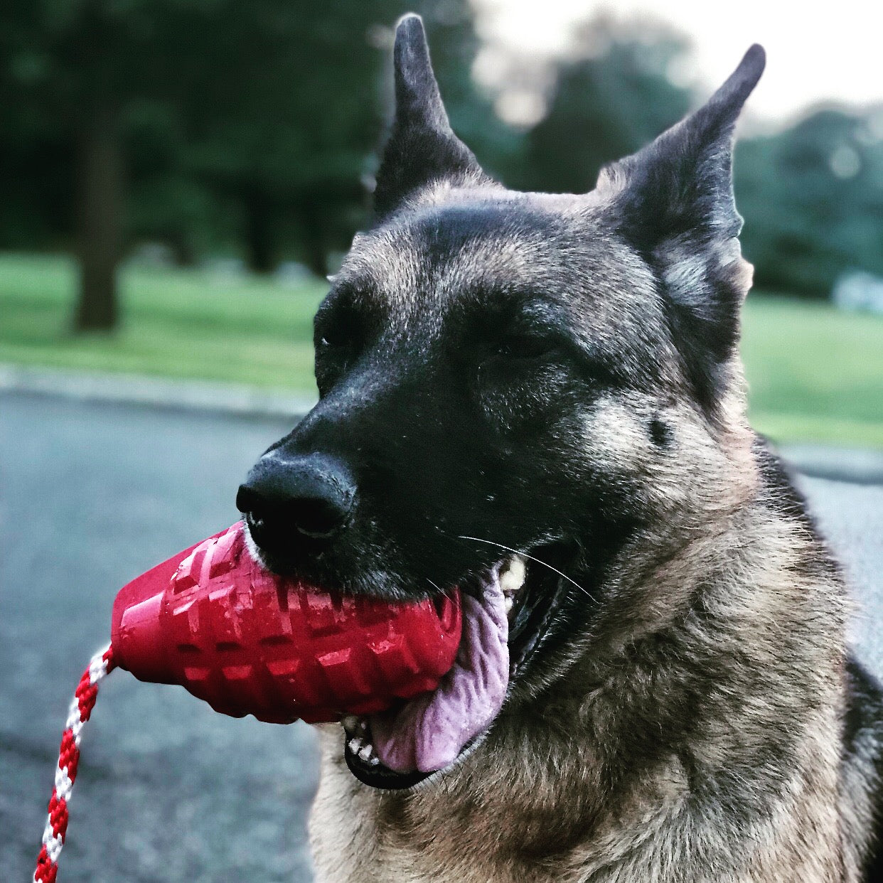 SodaPup USA-K9 Grenade Rubber Dog Chew Toy | K9 Handler Reward Blue USA Made