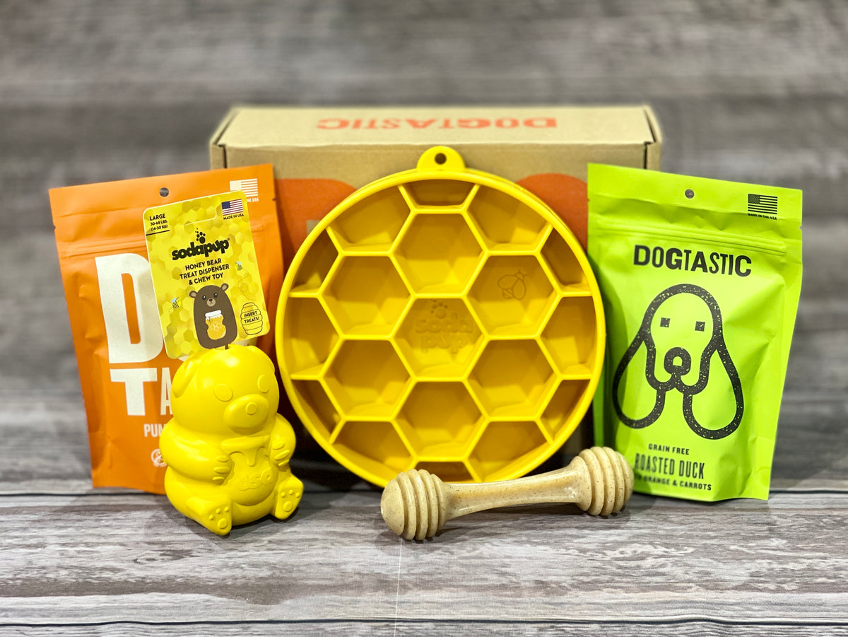 Sodapup honey bear treat dispenser and chew toy — Private School Pups