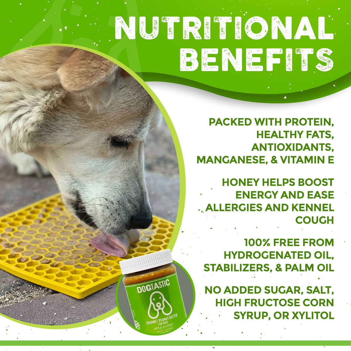 Honey for 2024 dogs benefits