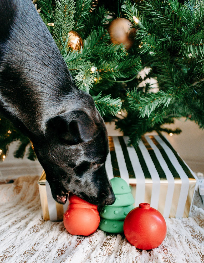 dog toys under the christmas tree