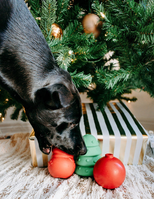 dog toys under the christmas tree