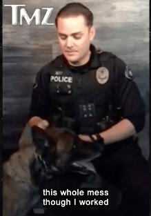 Incredible Footage Of K9 Apprehending Suspected Domestic Abuser - SodaPup/True Dogs, LLC