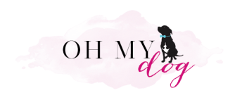 ALL THE MOTIVATION YOU NEED: YOUR DOG IS YOUR BEST WORKOUT PARTNER - SodaPup/True Dogs, LLC