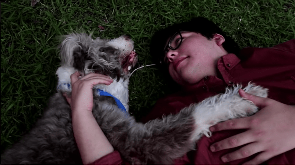 Emotional Benefits of Pets Through Gen Z's Eyes - SodaPup/True Dogs, LLC