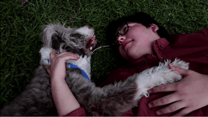 Emotional Benefits of Pets Through Gen Z's Eyes