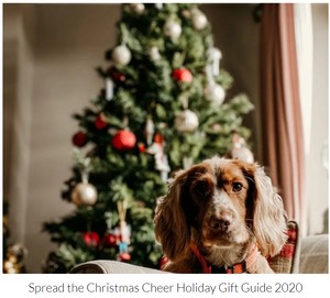 Spread the Christmas Cheer Gift Guide 2020