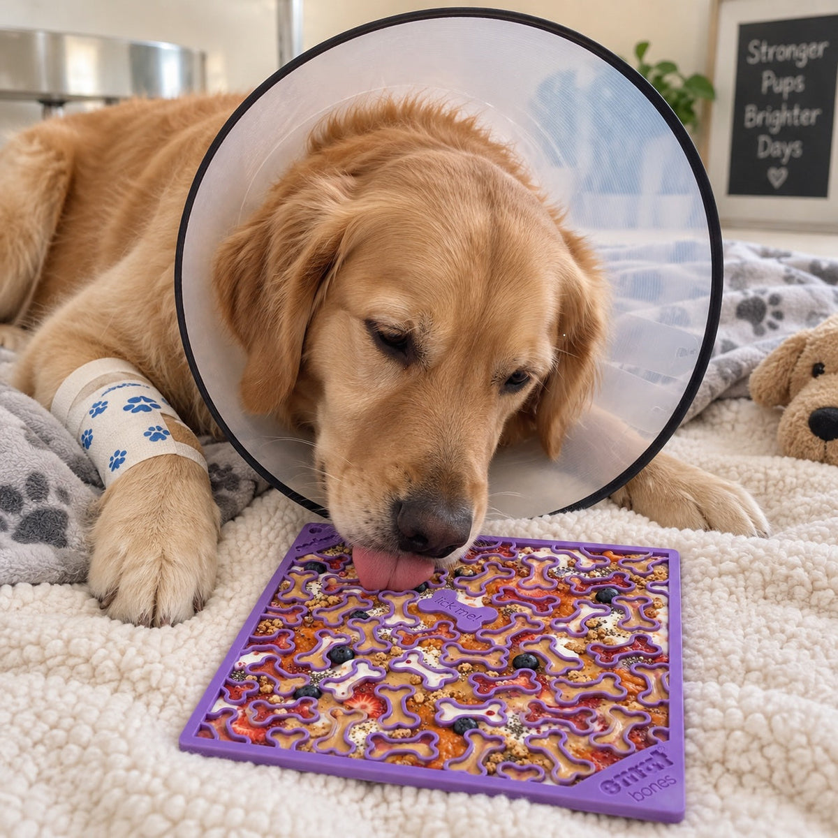 Dog resting and recovering after surgery with a SodaPup lick mat — calming enrichment toy for post-surgery crate rest and limited movement recovery