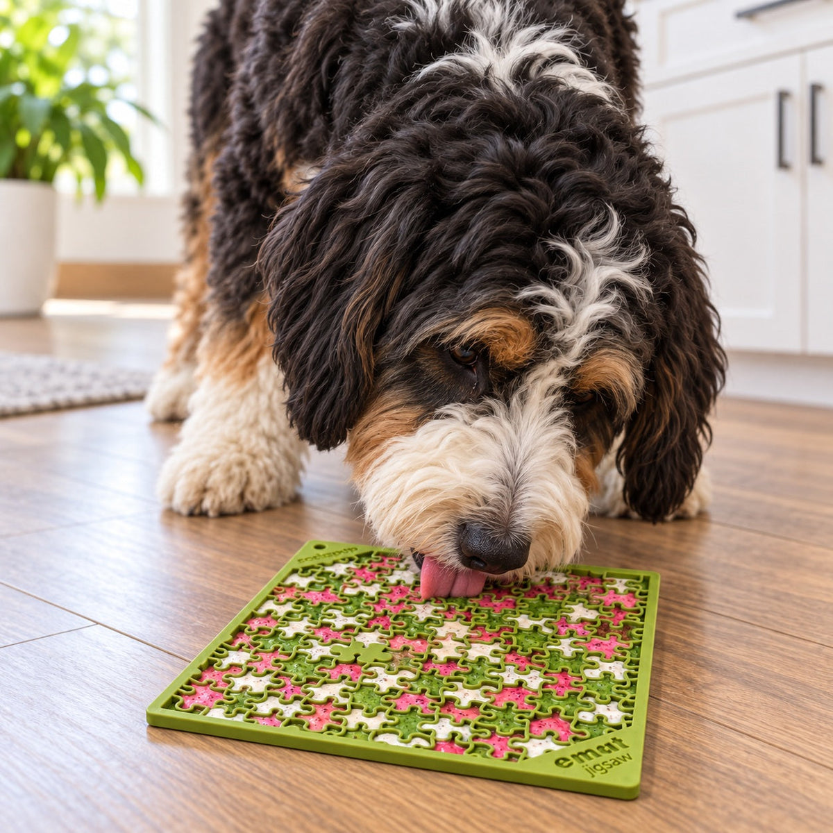 SodaPup calming enrichment toys for anxious dogs — lick mats, slow feeders, and chew toys made in USA