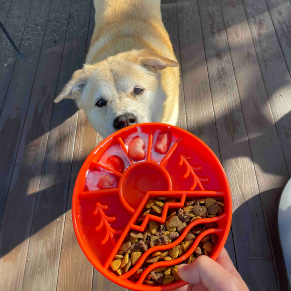 Slow Feeder Bowls