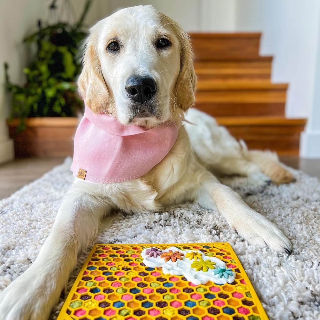 Lick Mats & Lick Sticks