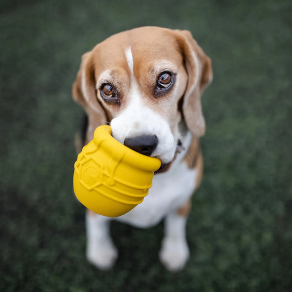 Treat Dispensers - SodaPup/True Dogs, LLC