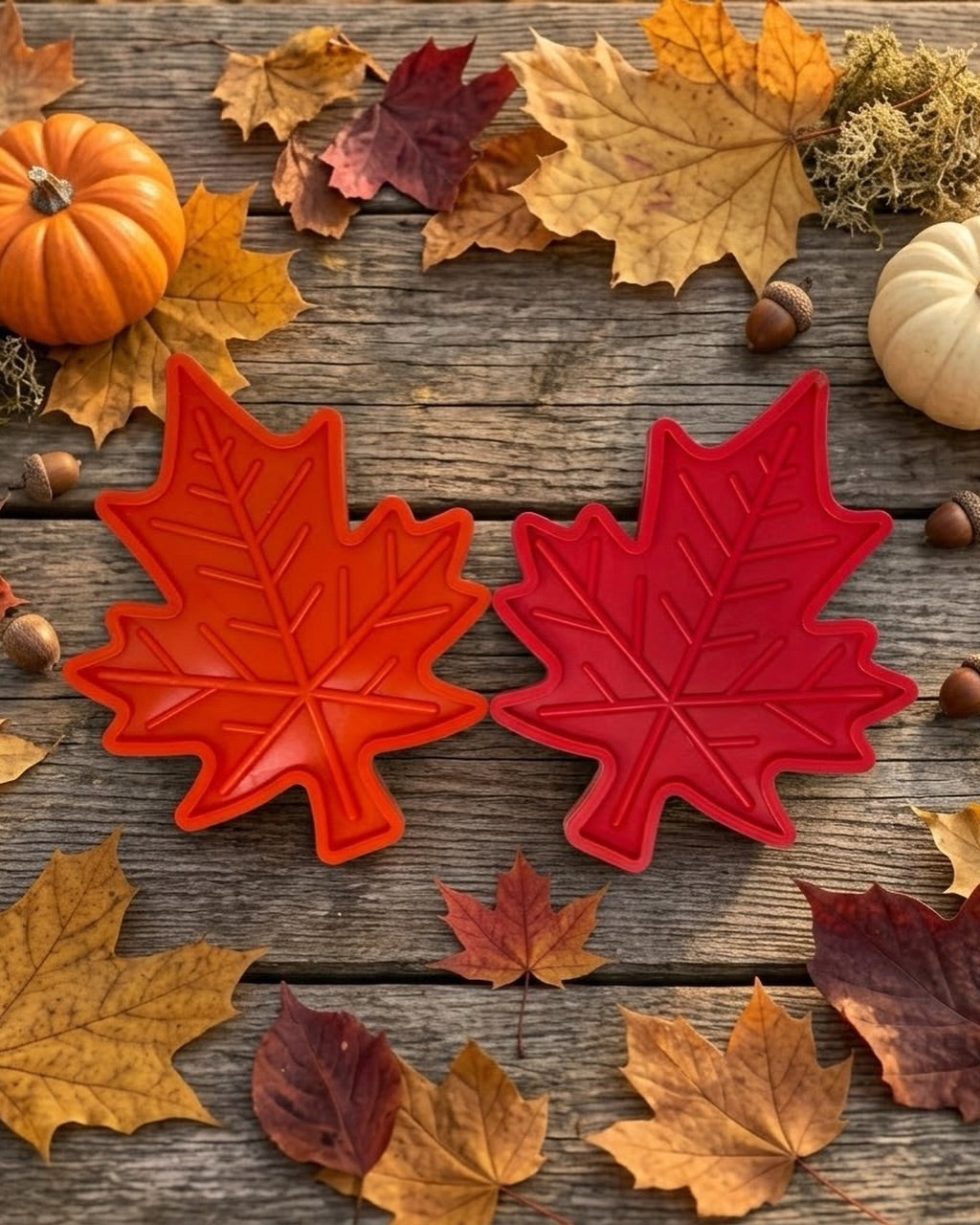 Autumn & Thanksgiving