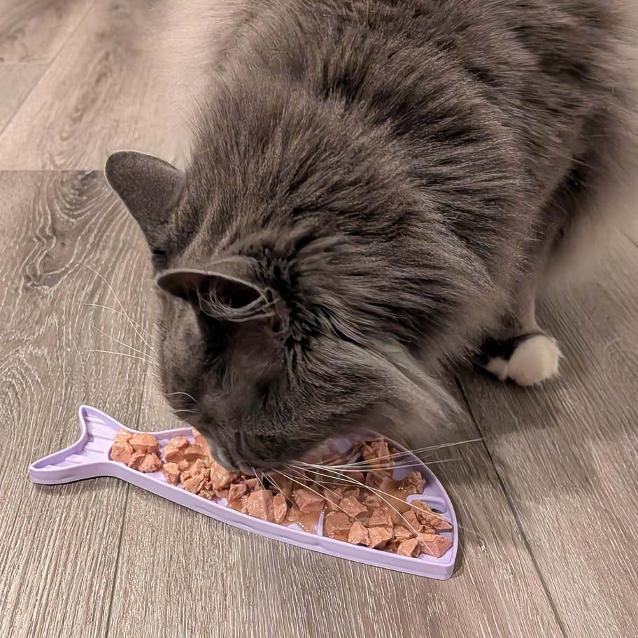 SodaPup Goldfish eMat Cat Lick Mat | Fish-Shaped Enrichment Feeder
