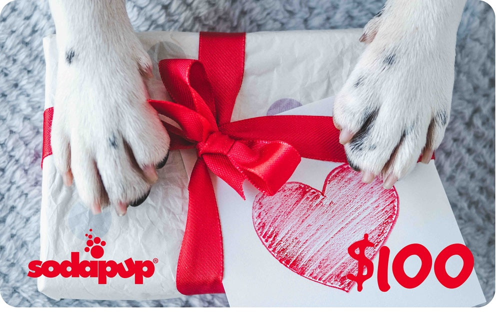 Sodapup Gift Cards $100.00