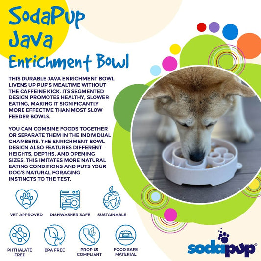 SodaPup Java eBowl Deep Slow Feeder Dog Bowl Enrichment | USA Made