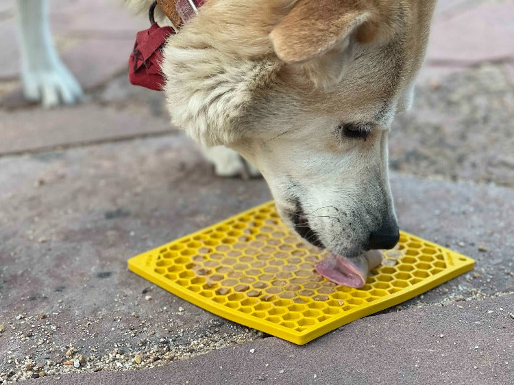 Jigsaw & Honeycomb Dog Lick Mat Bundle | 2-Pack Large eMat Set | SodaPup