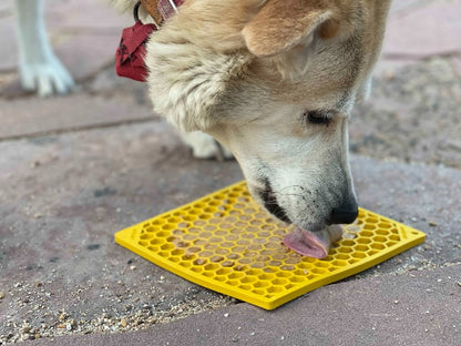 Jigsaw & Honeycomb Dog Lick Mat Bundle | 2-Pack Large eMat Set | SodaPup
