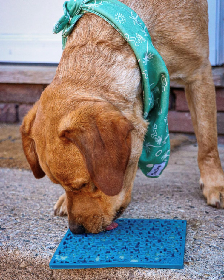 Jigsaw & Honeycomb Dog Lick Mat Bundle | 2-Pack Large eMat Set | SodaPup
