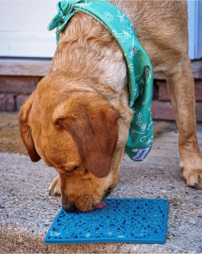 Jigsaw & Honeycomb Dog Lick Mat Bundle | 2-Pack Large eMat Set | SodaPup