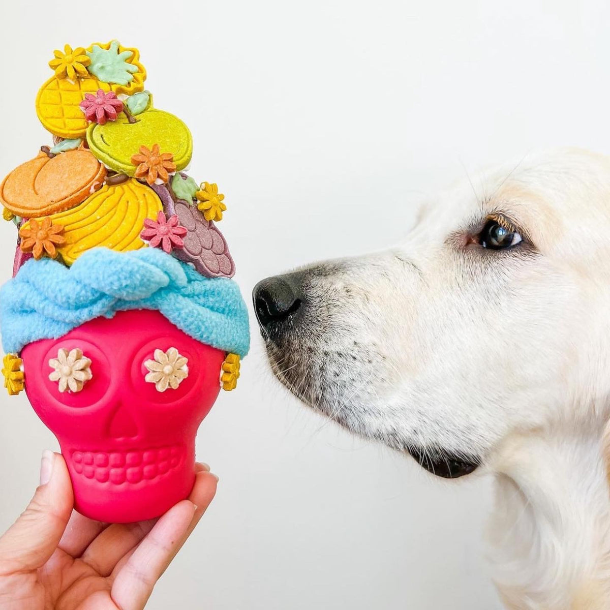 Hand holding a Sugar Skull topped with decorated treats next to a white dog