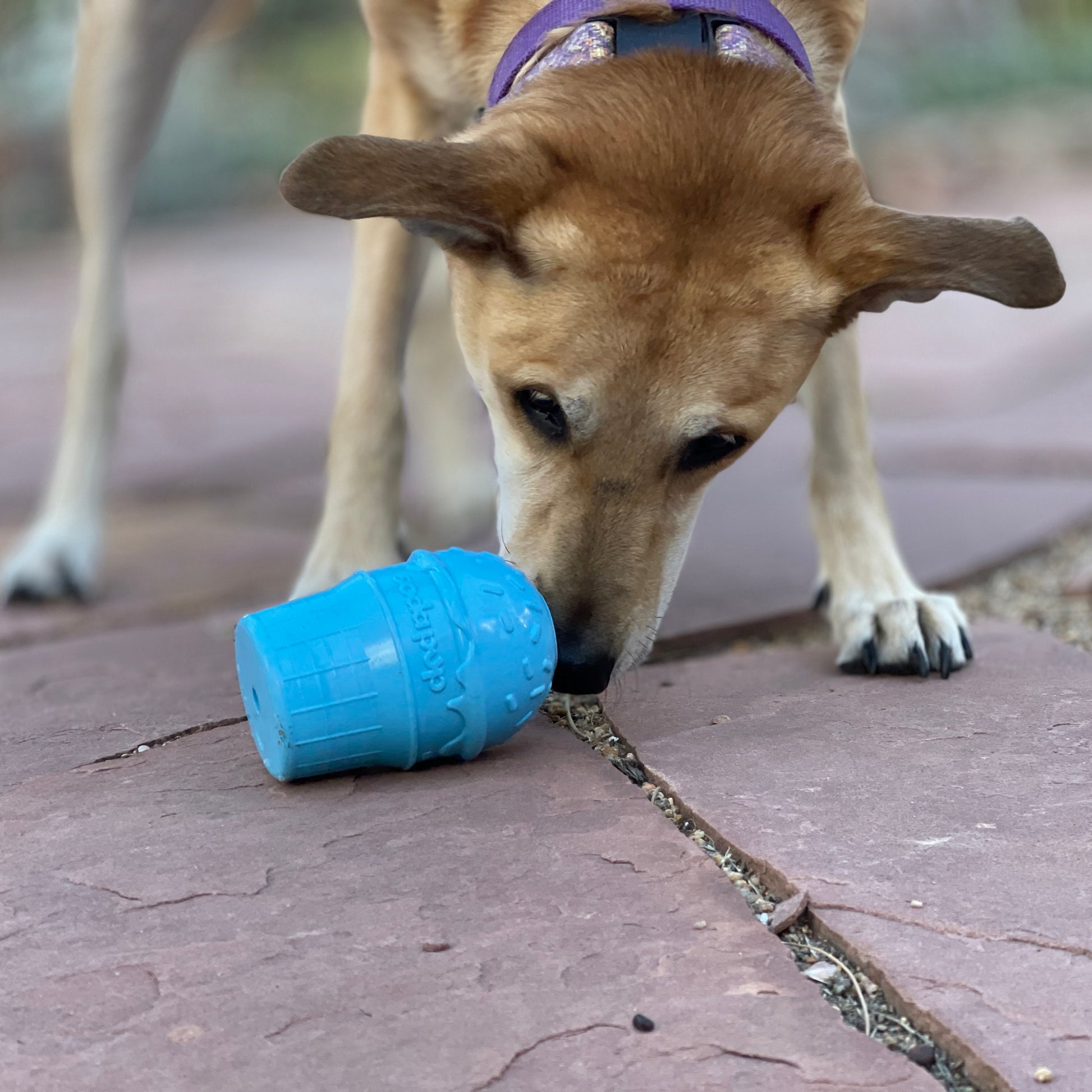 SodaPup Ice Cream Cone Rubber Dog Chew Toy Power Chewers | USA Made