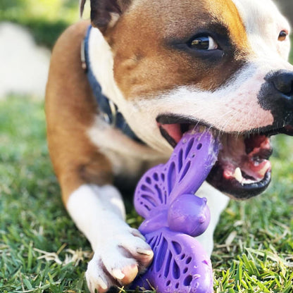 3 for 1 Butterfly Nylon Chew & Enrichment Toy | Blemished, No Packaging | SodaPup