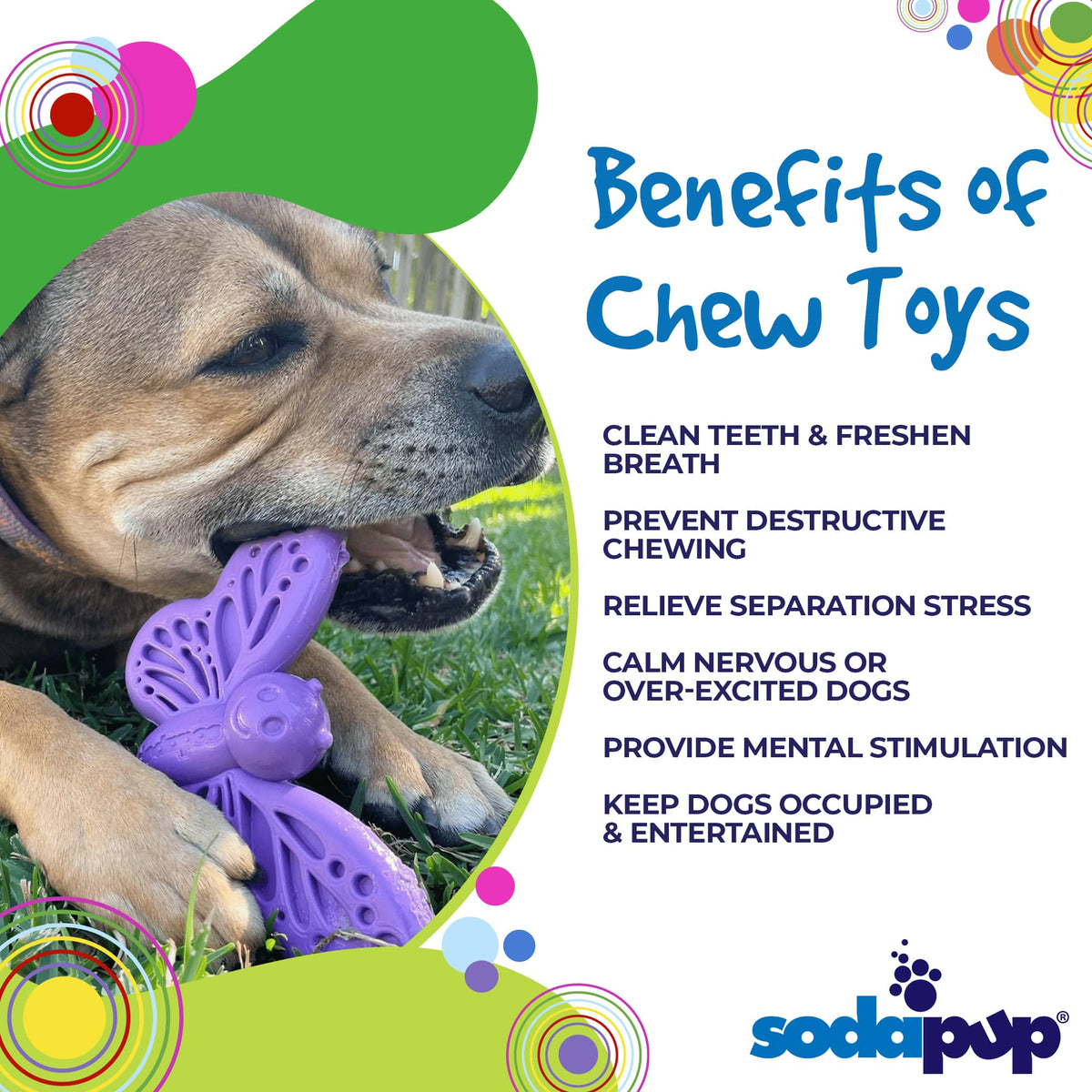 3 for 1 Butterfly Nylon Chew & Enrichment Toy | Blemished, No Packaging | SodaPup