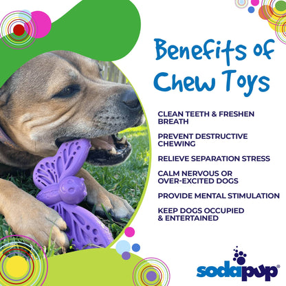3 for 1 Butterfly Nylon Chew & Enrichment Toy | Blemished, No Packaging | SodaPup